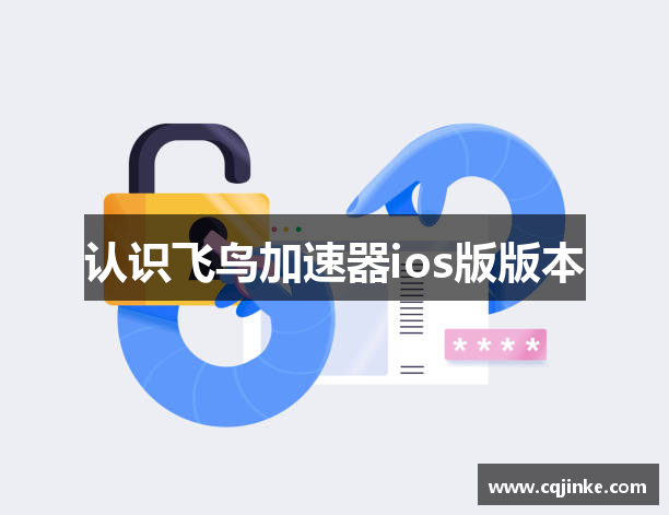 认识飞鸟加速器ios版版本